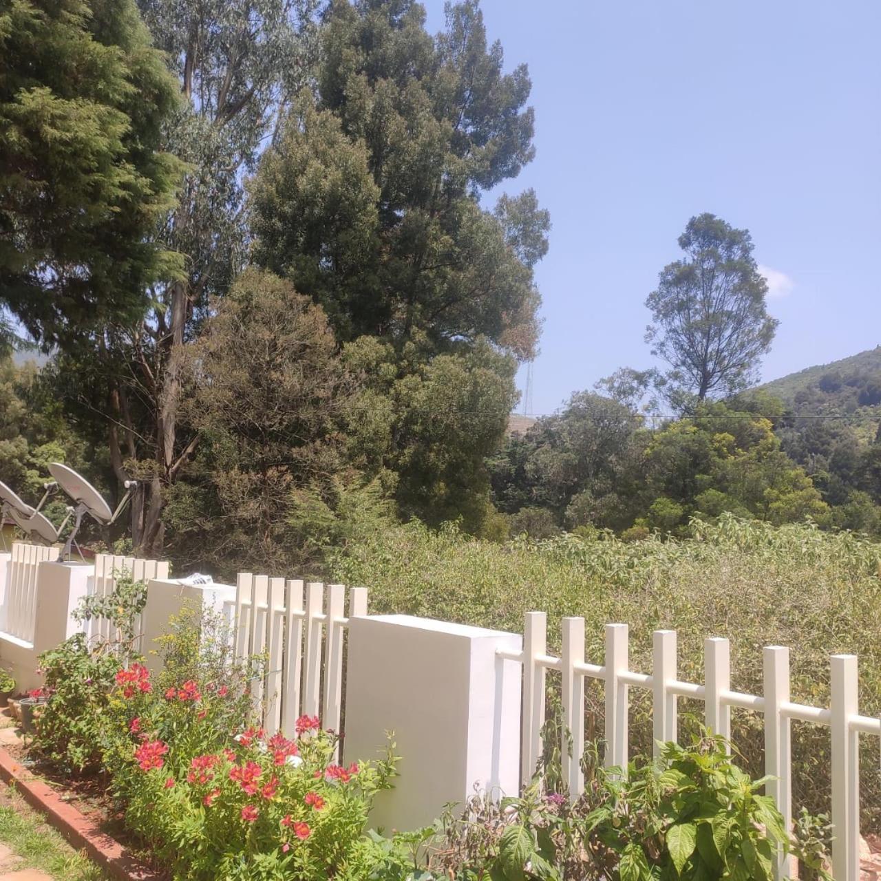 Villa Snowdrops Ooty Exterior foto